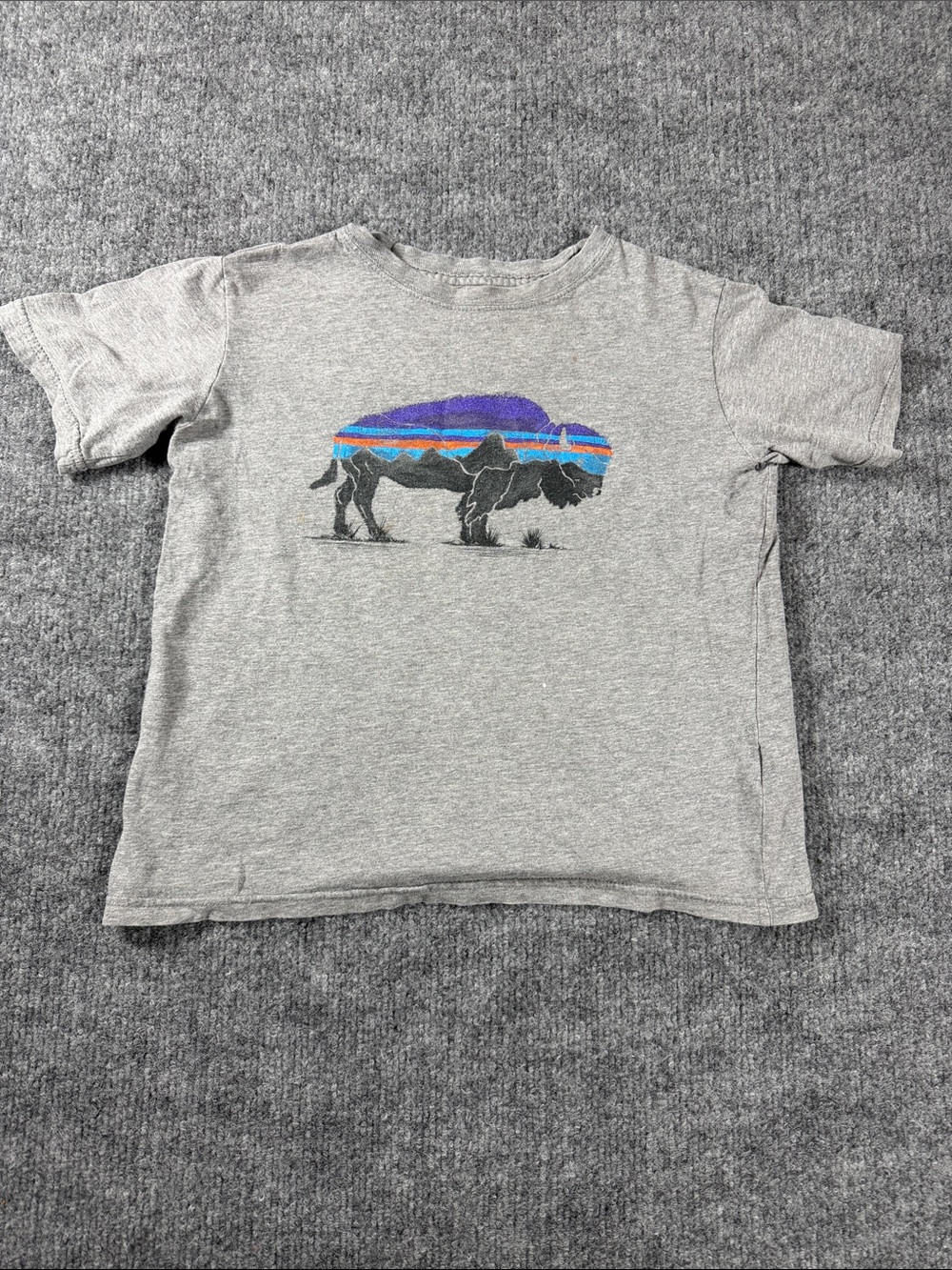 Patagonia Boys' Graphic Organic T-Shirt